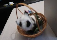 Panier de décoration avec un petite panda... ANNONCES Bazarok.fr