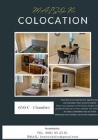 Colocation Maison... ANNONCES Bazarok.fr