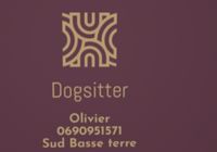 Dogsitter sud Basse terre... ANNONCES Bazarok.fr